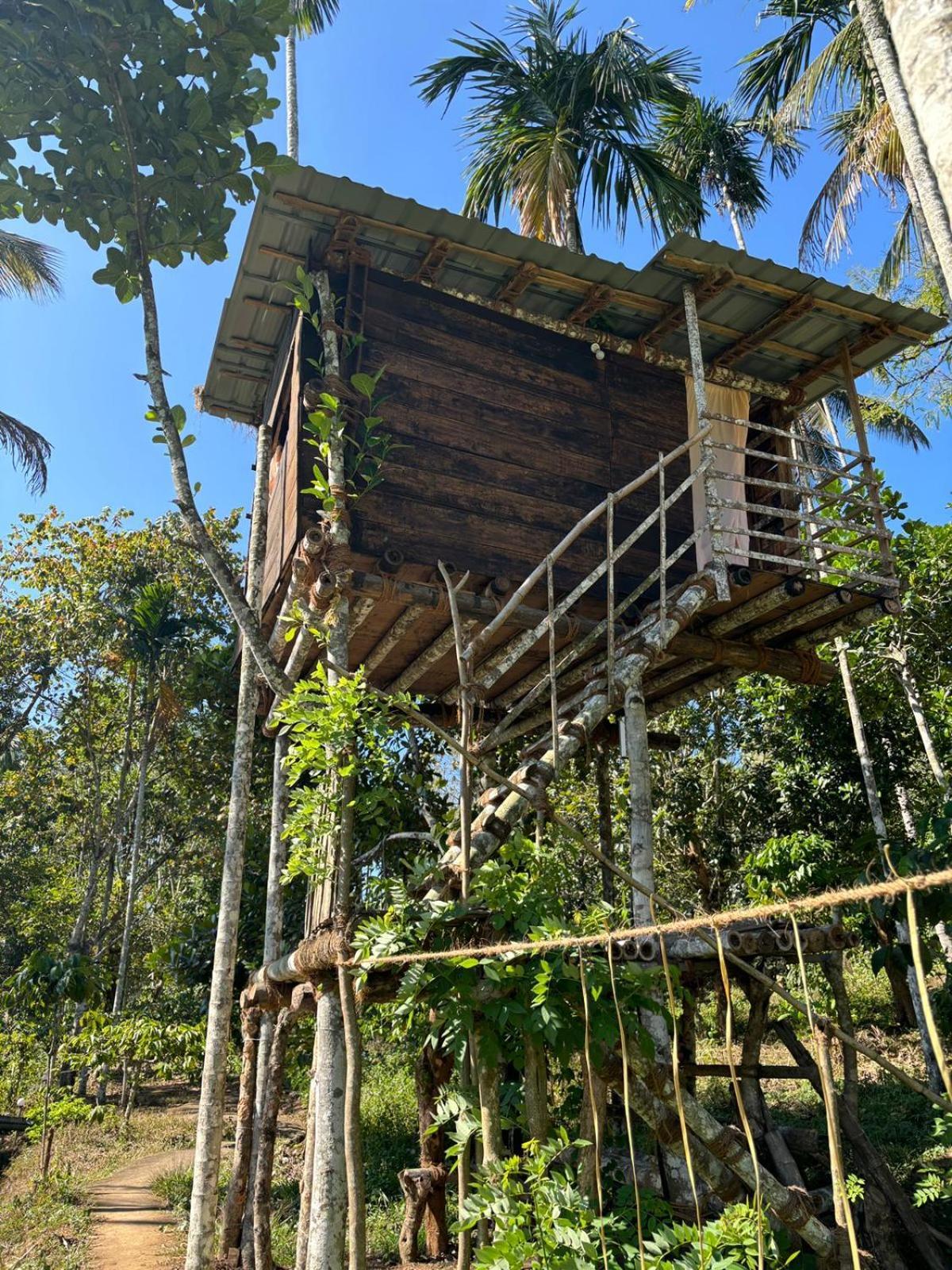 Lotus Jewel Forest Camping Sultan Bathery Ngoại thất bức ảnh