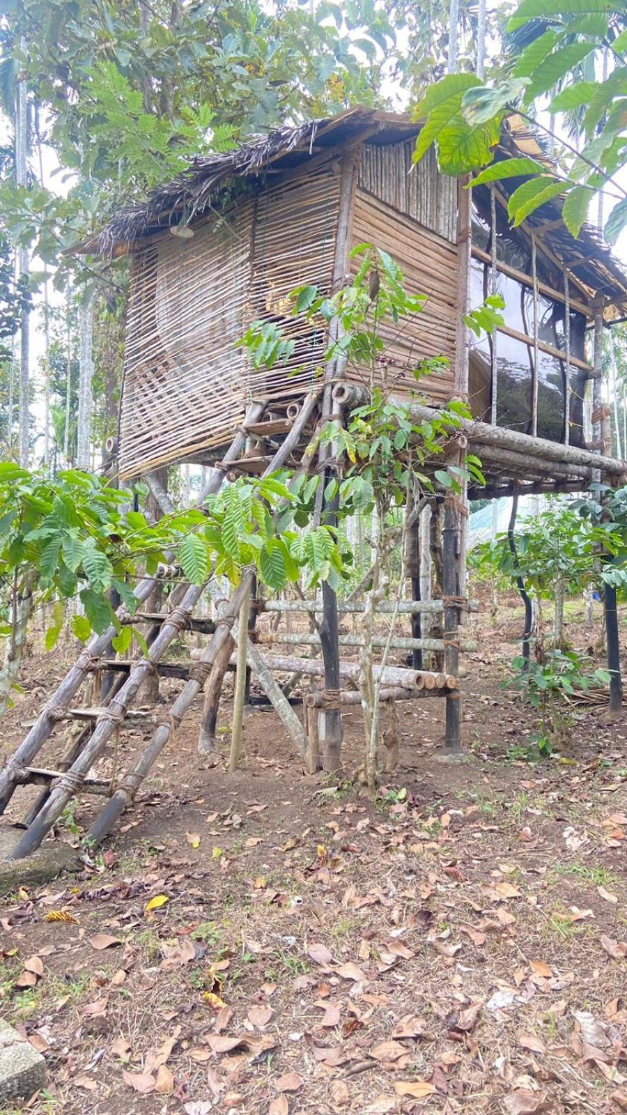 Lotus Jewel Forest Camping Sultan Bathery Ngoại thất bức ảnh
