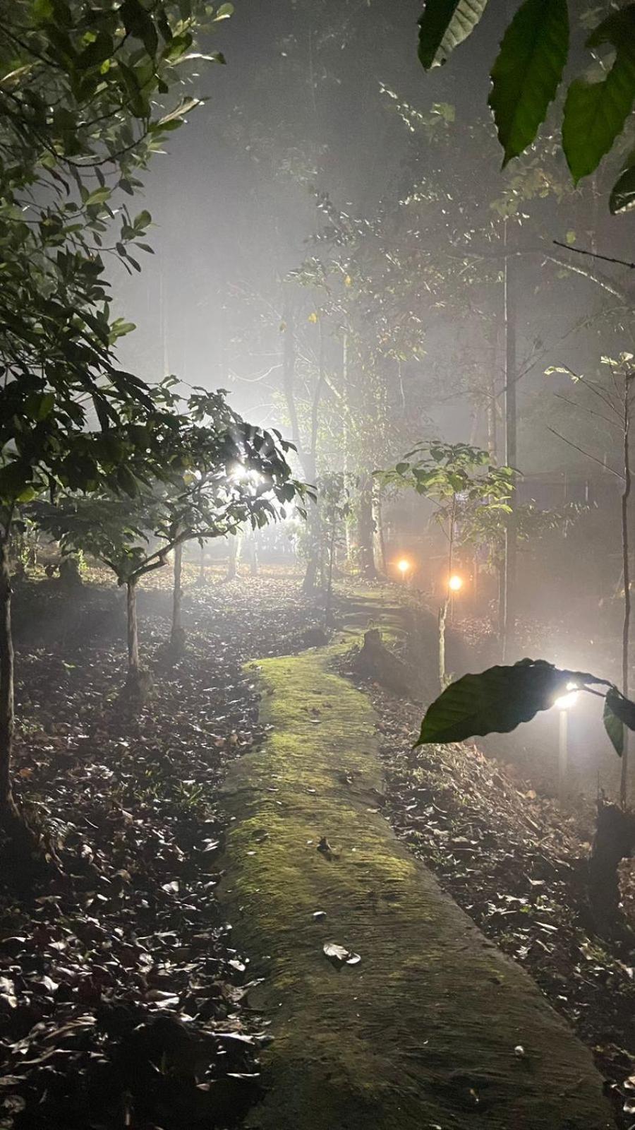 Lotus Jewel Forest Camping Sultan Bathery Ngoại thất bức ảnh