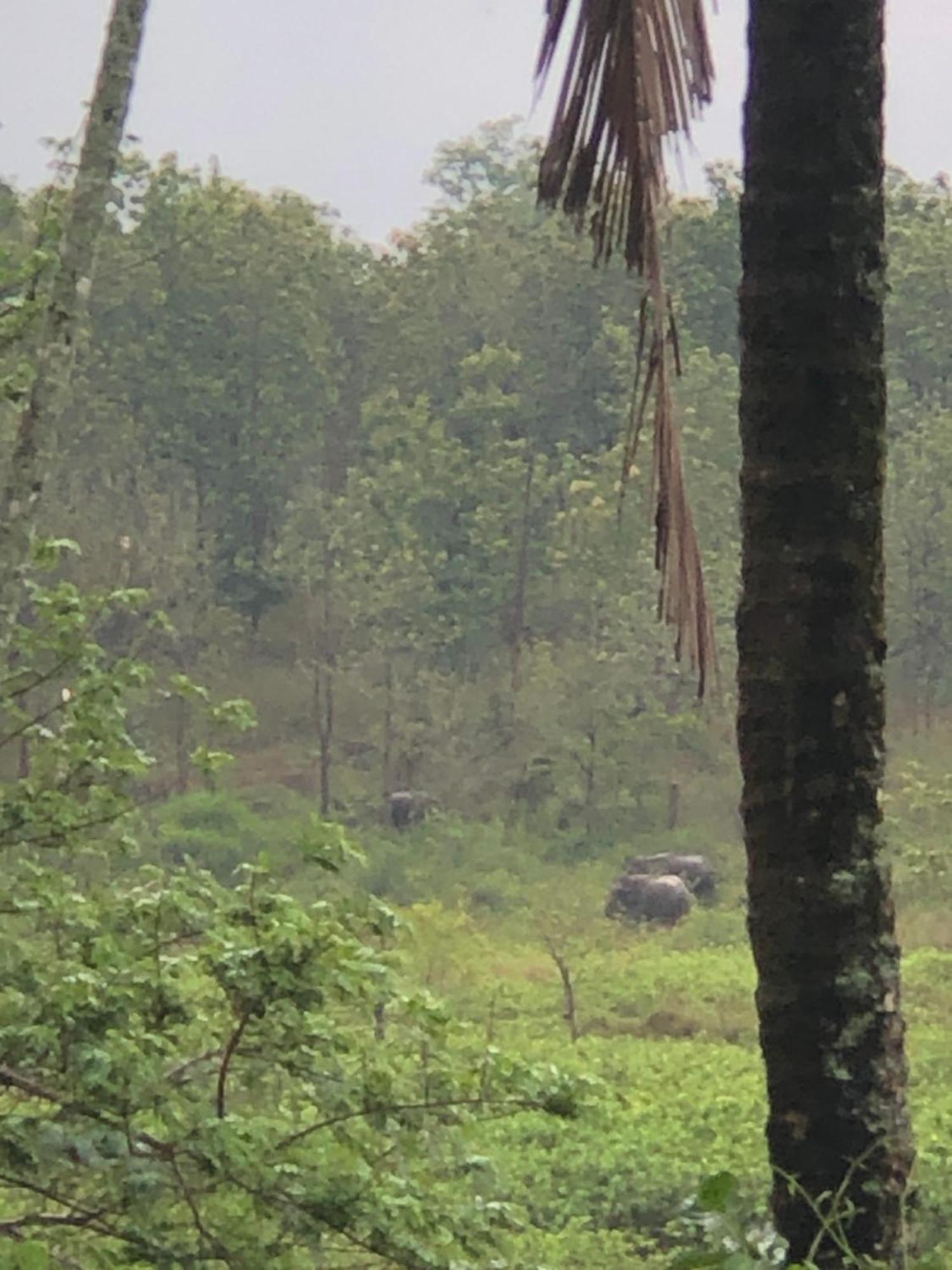 Lotus Jewel Forest Camping Sultan Bathery Ngoại thất bức ảnh