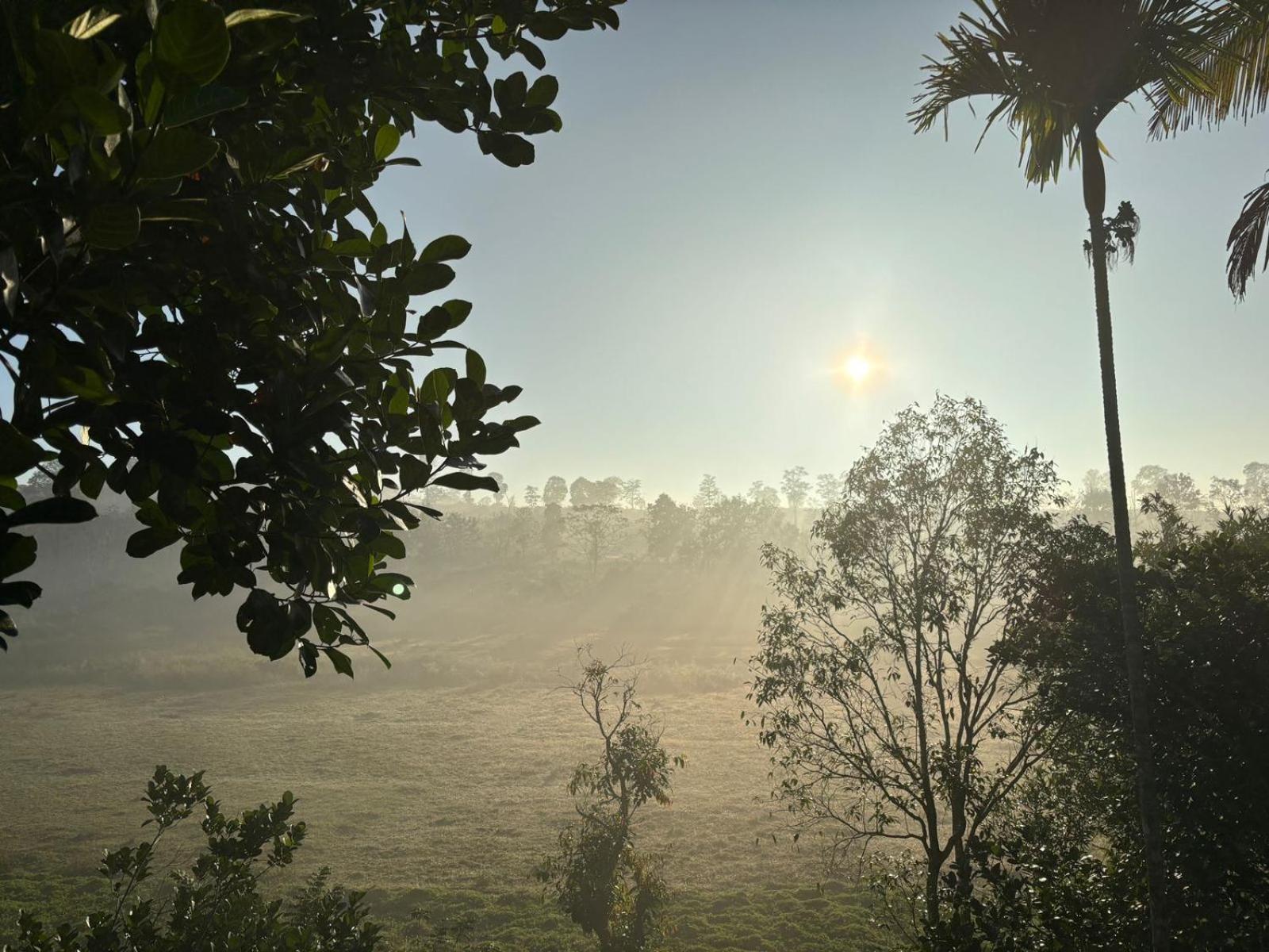 Lotus Jewel Forest Camping Sultan Bathery Ngoại thất bức ảnh